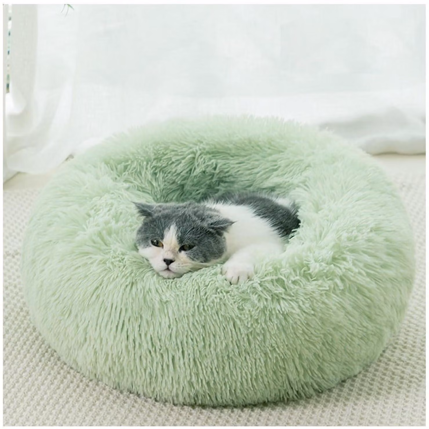 Cuccia per cani, forma circolare, diametro 40 cm, colore verde, lavabile, con bordo