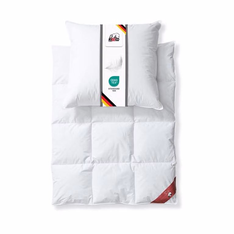 RIBECO GERMANIA piumino Johanna 135x200 cm e cuscino 80x80 cm in un set di 2 -piumino e cuscino in piuma e piumino, normale