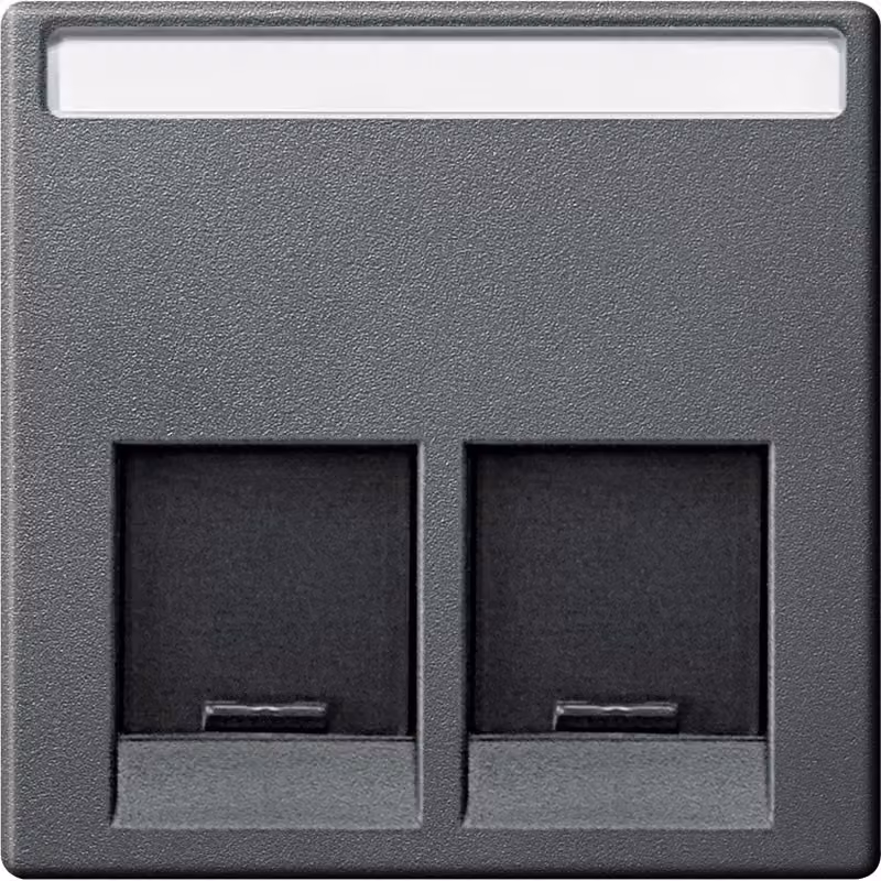 Piastra centrale per connettore Schneider Electric a 2 vie, antracite, sistema M