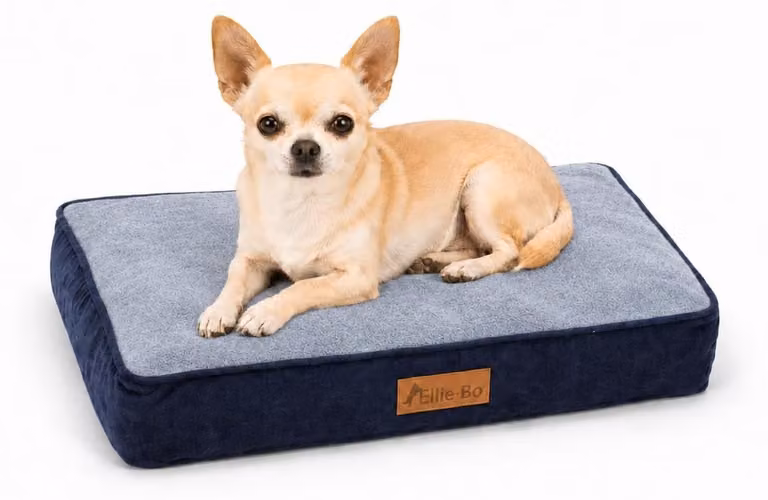 Solidchoice - Cuccia per cani per gabbie, con imbottitura 56x41 cm