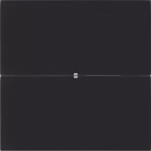 Berker 75162592 Sensore a sfioramento doppio Comfort in vetro, nero B.IQ