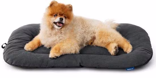 Cuscino economico per cani di piccola taglia - 59x43 cm, lettino lavabile per cuccioli e gatti, morbido lettino per cani con fondo antiscivolo, grigio sfumato