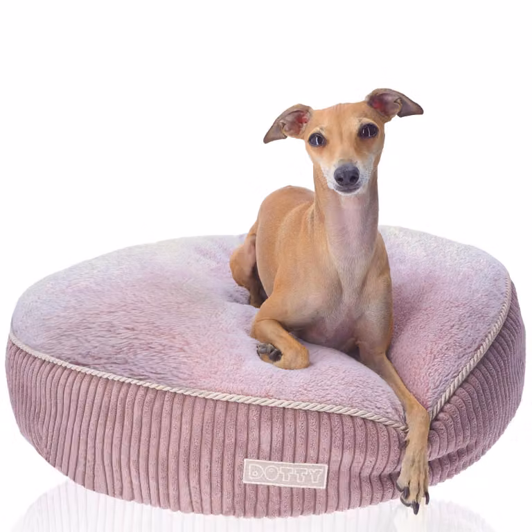 Accogliente letto in peluche Letto per cani Letto per gatti DOTTY - morbido cuscino rotondo in peluche per cani e gatti di piccola e media taglia Superficie di riposo M 60 cm