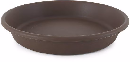 Vasi trasparenti in plastica per orchidee con griglie di drenaggio e sottovasi, 17 cm con sottovasi