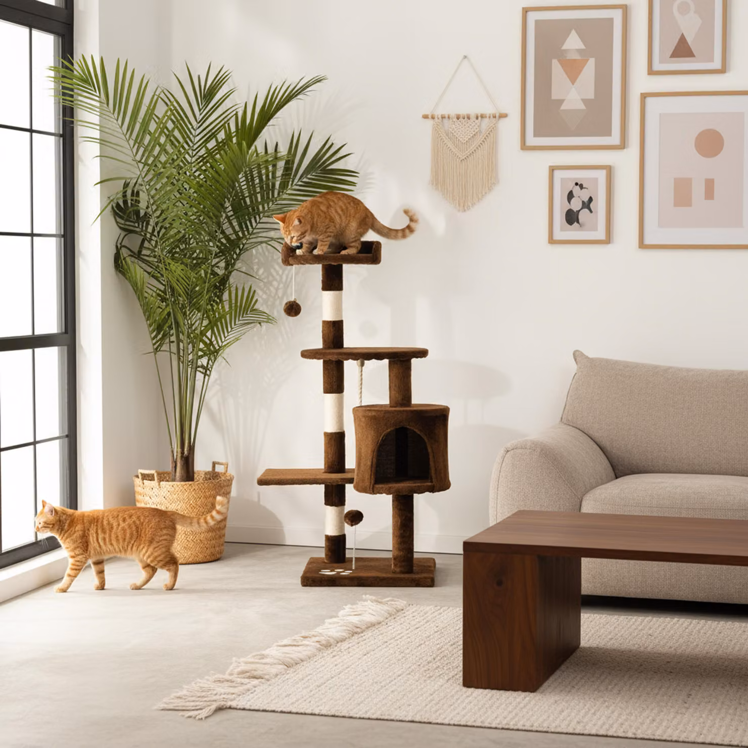 belviona tiragraffi per gatti, tiragraffi compatto da 112 cm con palline, sisal e grotta di coccole, marrone