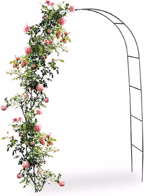 Arco da giardino per piante rampicanti in ferro, 140x38x240 cm