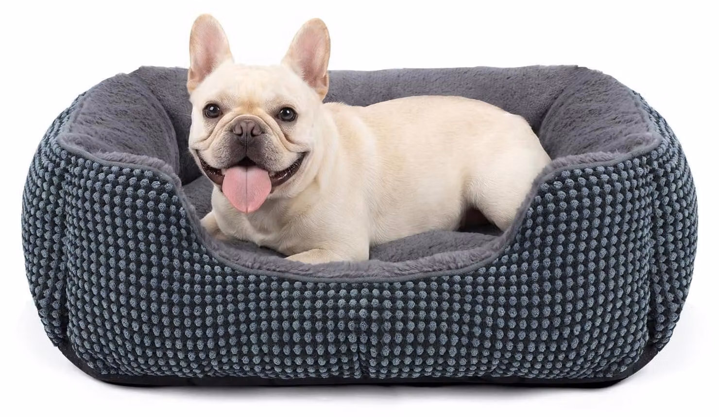 Cuccia per cani di piccola taglia – Lavabile e antiscivolo – Estremamente morbida e confortevole – Dimensioni: 51x48x15 cm