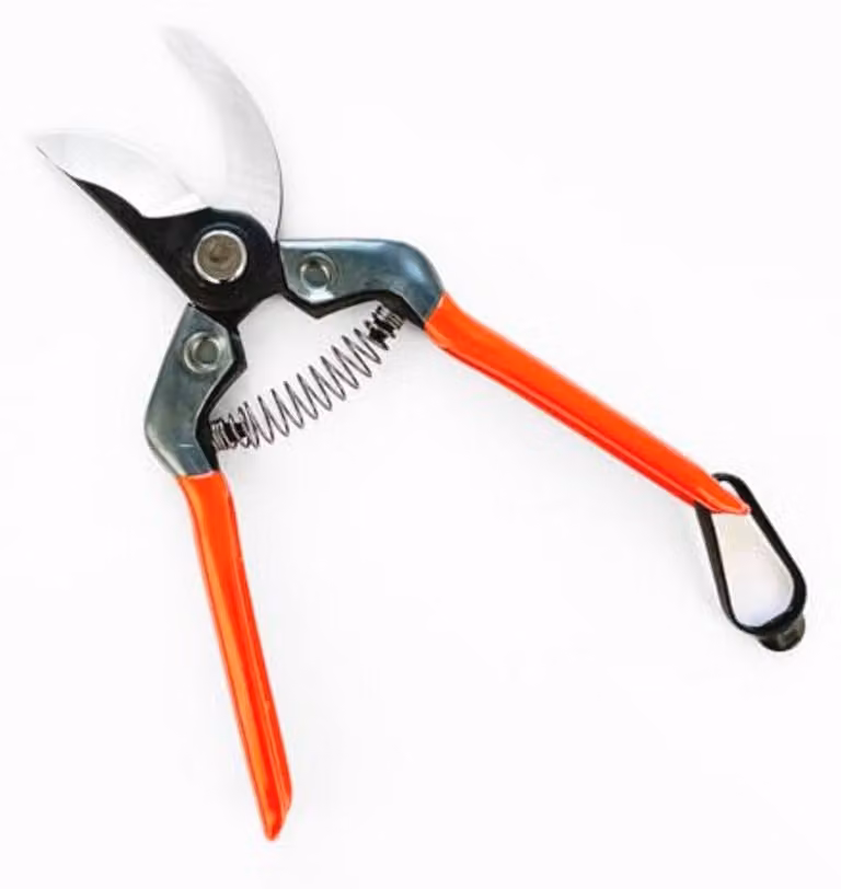 Forbici da giardino professionali - Acciaio inossidabile - Adatte per fiori e arbusti - Design ergonomico - Ideali per gli appassionati di giardinaggio