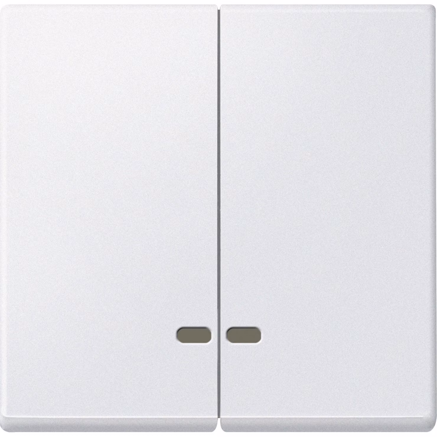 Finestra di controllo pws a doppio bilanciere Merten MEG3420-0419