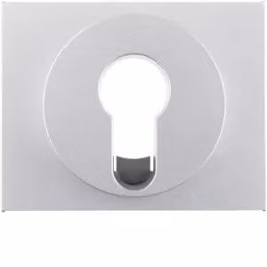 Berker 15057003 Elemento centrale per interruttori a chiave/pulsanti in alluminio Berker K.5