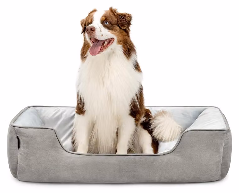 Cuccia per cani e gatti, dimensioni 110x80 cm, reversibile, colore grigio, aspetto in pelle scamosciata, ideale per animali domestici
