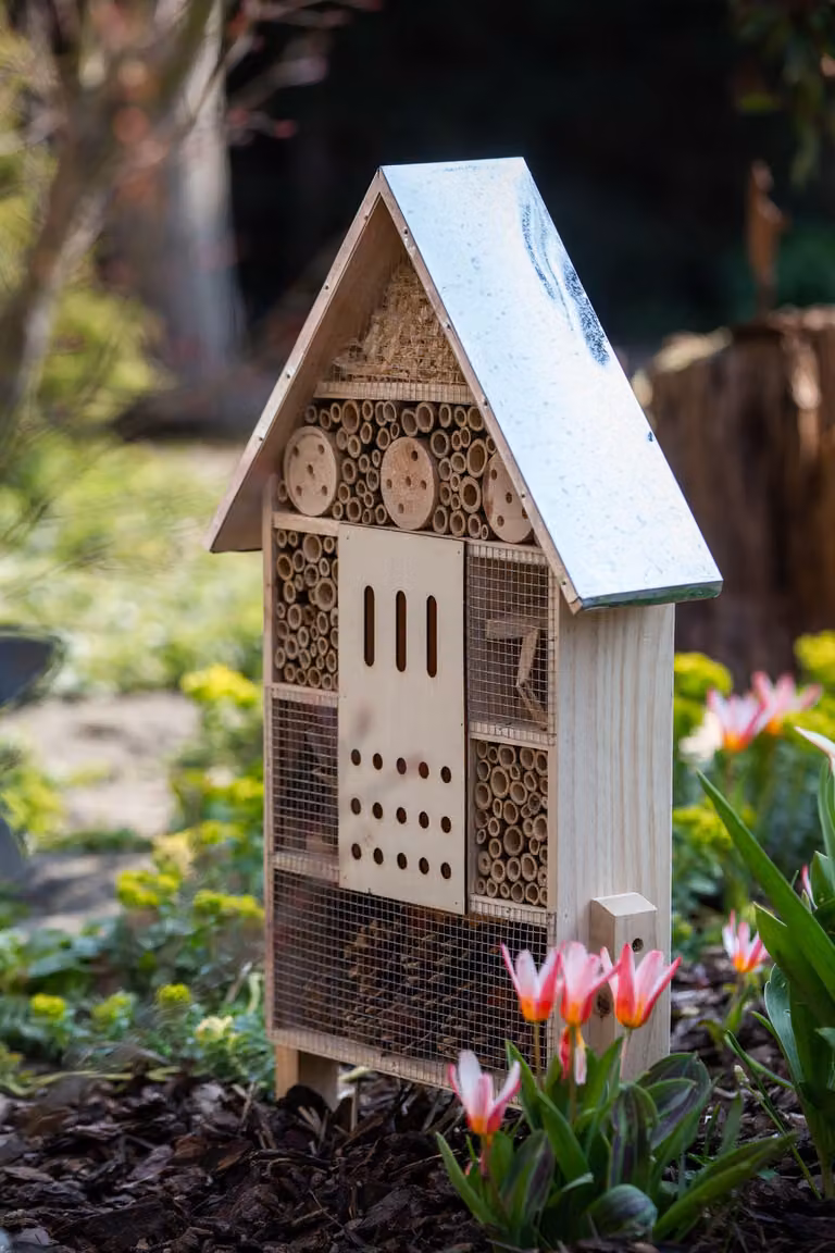 CULT at home Alberghetto per insetti grande XXL da appoggio - Casetta per insetti, altezza totale 77 cm - Casetta per bombi, materiale: legno, colore: marrone