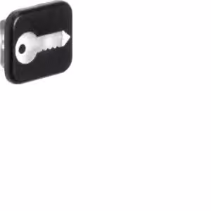 Berker 18223503 Lente con scritta, trasparente, Berker W.1