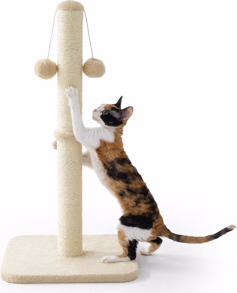 Katzenbaum, dimensioni 36x36x74 cm, per uso interno, con sisal e pallina giocattolo, color beige