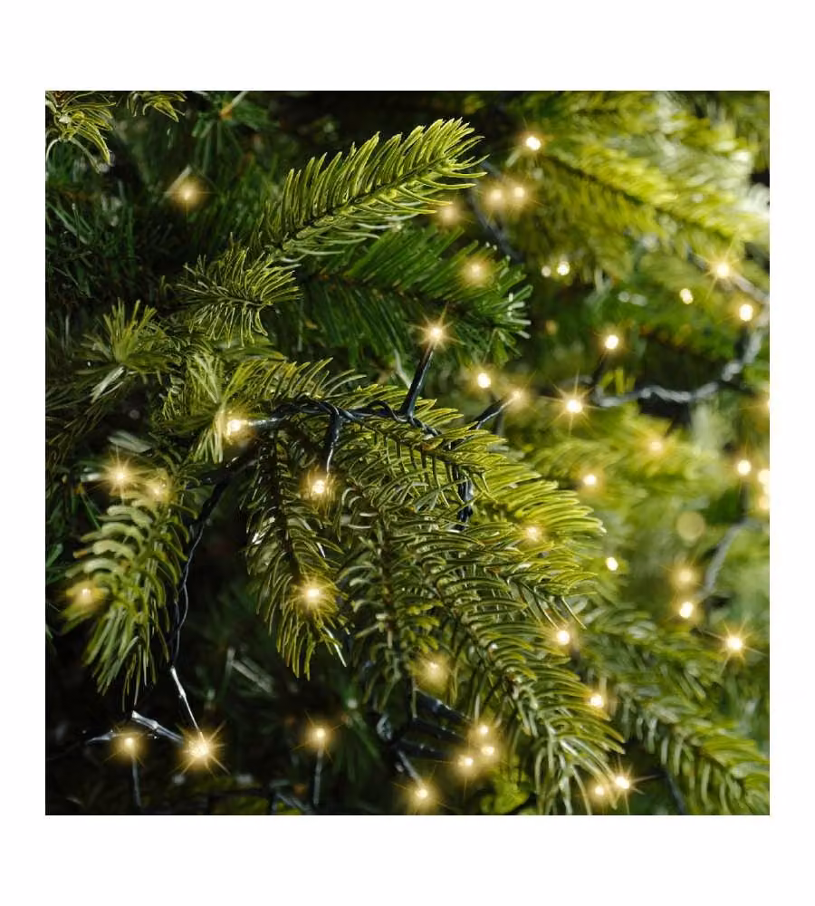 Lumineo Luci Natalizie LED Soft Oro - Decorazioni Albero - 3400cm