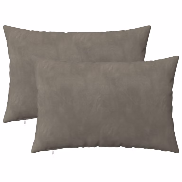 Set di 2 cuscini HEERLEN vidaXL in velluto grigio chiaro, L/P/H: 60 x 40 x 40 cm