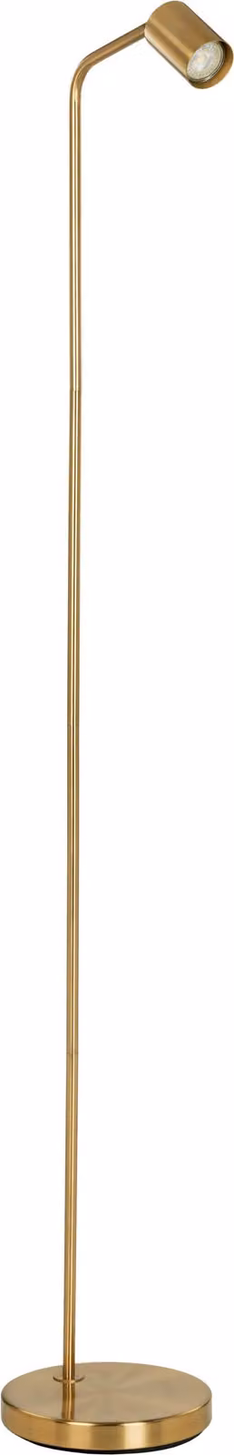 EGLO Lampada da terra Rigomagno, lampada per soggiorno con faretto orientabile, lampada da terra in metallo con finitura in ottone spazzolato, lampada da lettura con attacco GU10, 151 cm