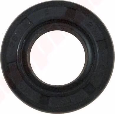Paraolio 15X26X5 per motoseghe cinesi