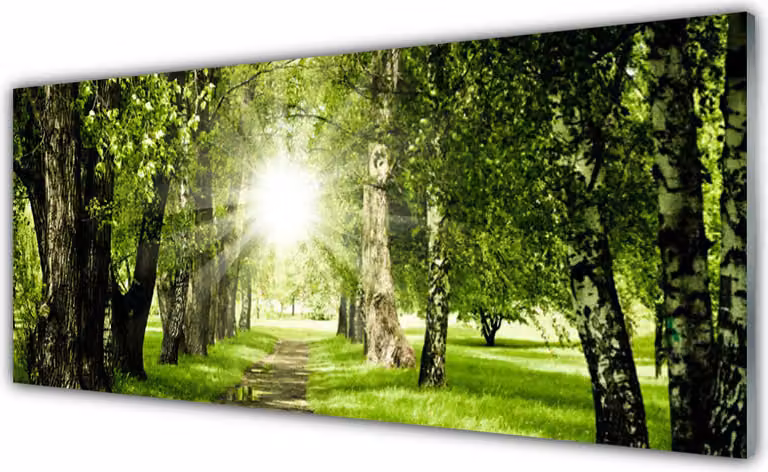 Pannello di vetro per cucina, dimensioni 125x50 cm, con decorazione a tema bosco, sole, sentiero e natura