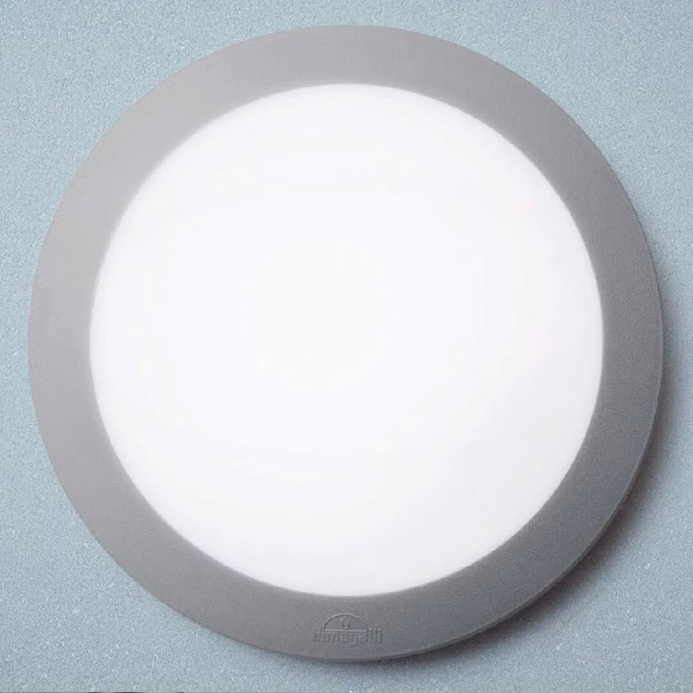 Plafoniera LED rotonda, grado di protezione IP66, 2 attacchi E27, colore grigio, vetro opale