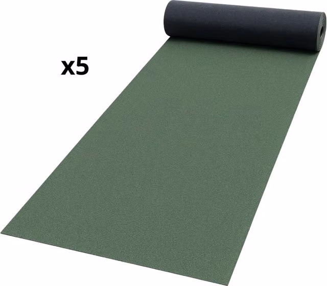 Guaina impermeabilizzante ardesiata verde Casasciutta per terrazze, 5 rotoli da 1x10 m – 1