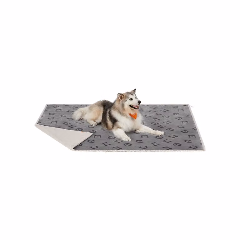 Coperta Impermeabile per Cani, Grigio / XXXL (229 x 203 cm)