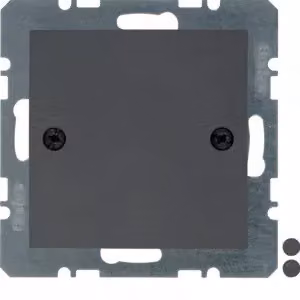 Berker 10091616 Tappo cieco con elemento centrale e fissaggio a vite, antracite opaco, Berker B