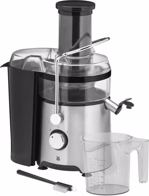 Centrifuga elettrica in acciaio inossidabile - 500 W Spremipressa lenta con contenitore da 1,2L
