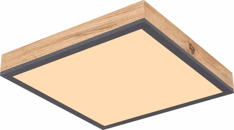 Plafond LED 12W DORO 416080WD1 Globo
