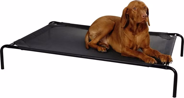 Lettino per cani Vacation nero, 107x65x20cm Lettino per cani Zona relax Animali