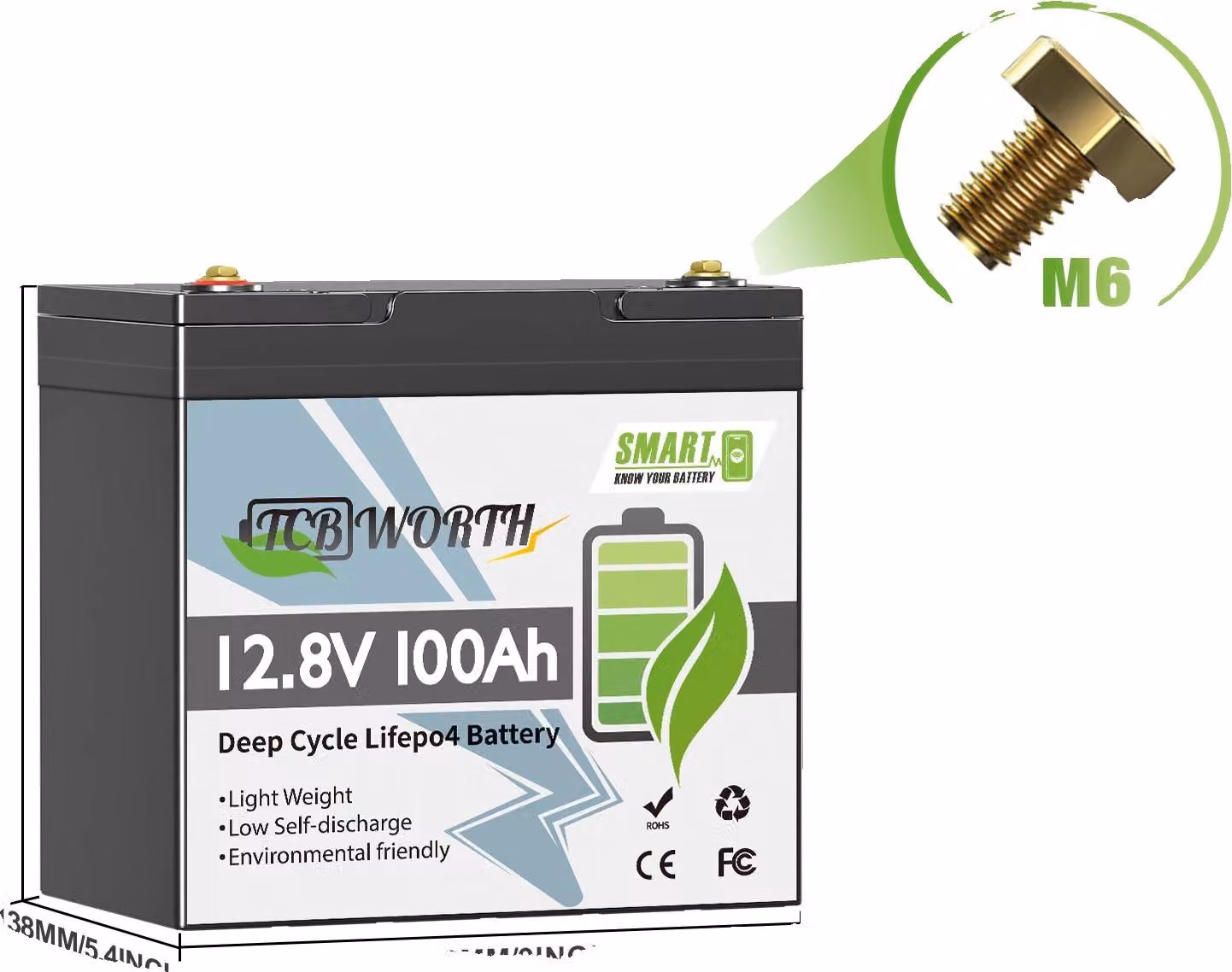 Batteria al litio, capacità 100 Ah, sistema di protezione integrato, 12 V 100 Ah 229