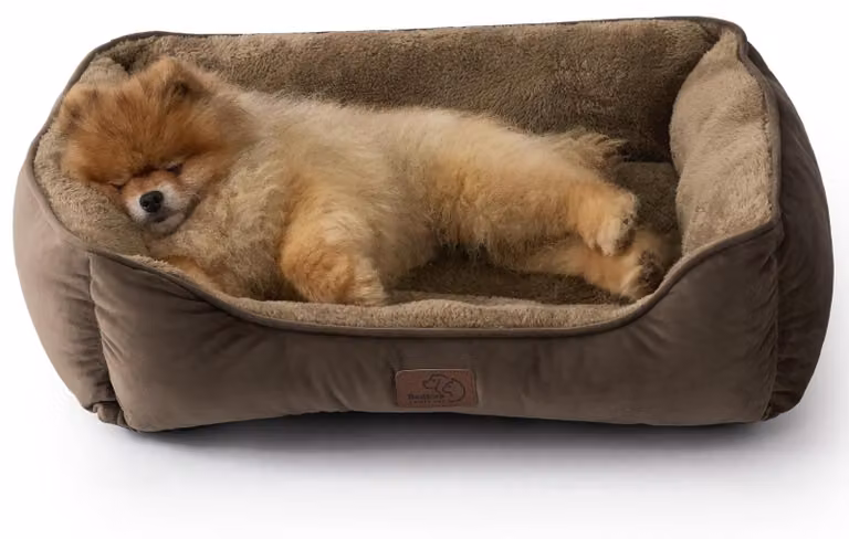 Cuccia per cani lavabile media - Cuccia 63,5 x 53 cm - Marrone - Antiscivolo - Lavabile in lavatrice