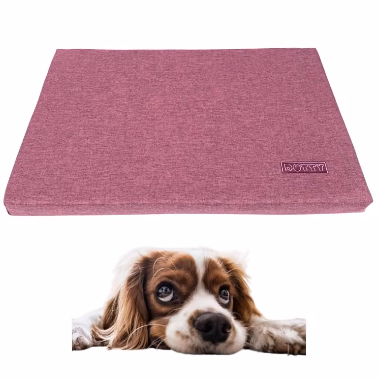 Tappetino per cani DOTTY M 75x60 cm Rosa / Fucsia – tappetino da viaggio versatile e cuccia per cani di taglia media, per auto, trasportino o bagagliaio, facile da pulire e resistente