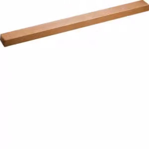HAGER UM21B Guida in rame universale 20x10x246 mm