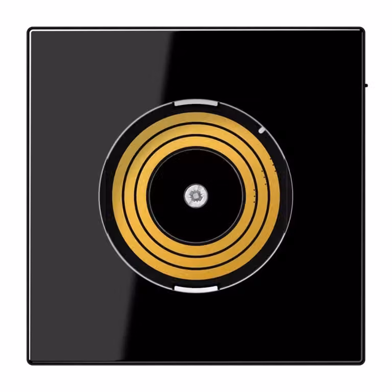 Copertura Jung PLLSDMSSW serie P&L LS990 con DMS