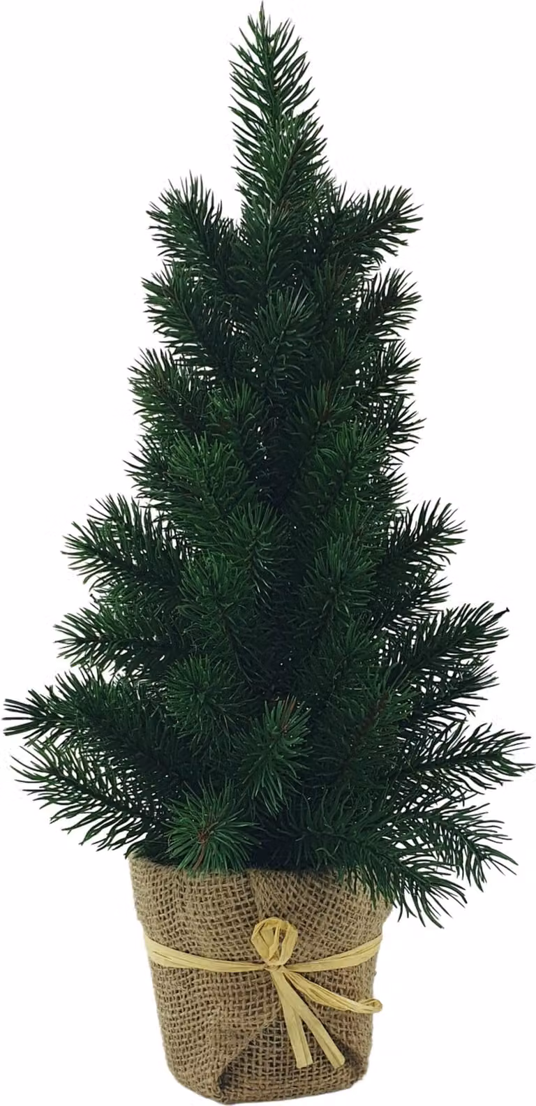 Mini albero di Natale da 48 cm in vaso, dall'aspetto molto realistico