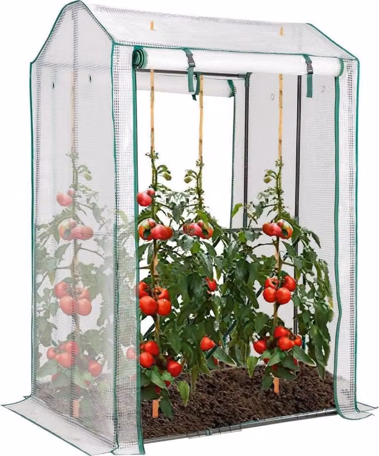 Serra da giardino per esterni 100 x 81 x 150 cm con 2 porte avvolgibili