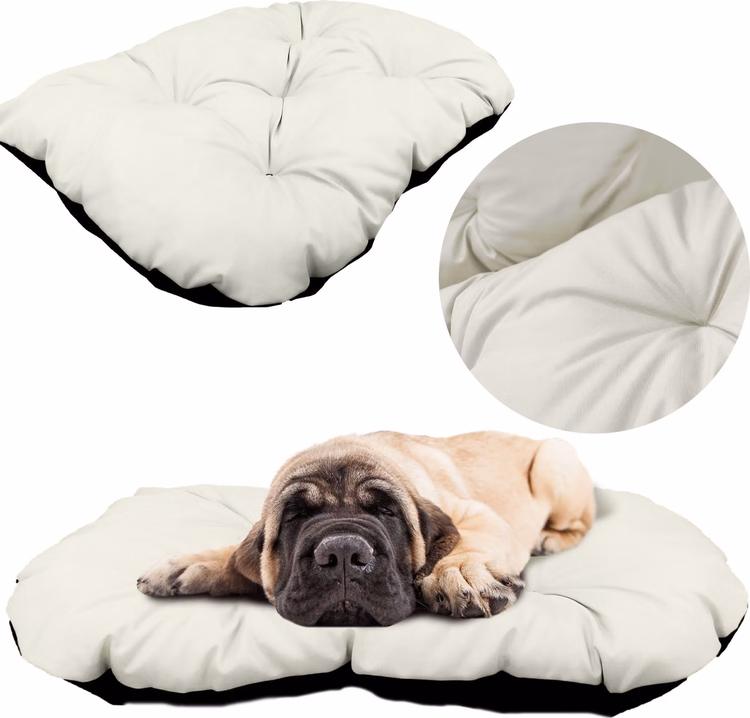 Cuccia per cani, lettiera 70x50 cm, cuscini, divano, lettino, recinto, beige