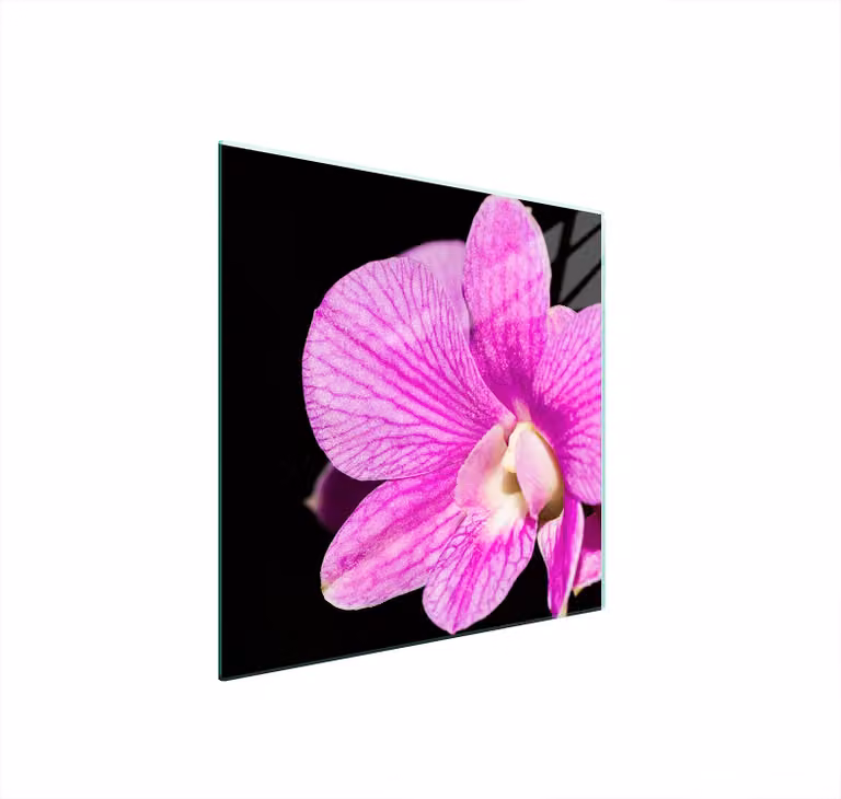 Piastra Protettiva In Vetro Per Orchidee 50X52