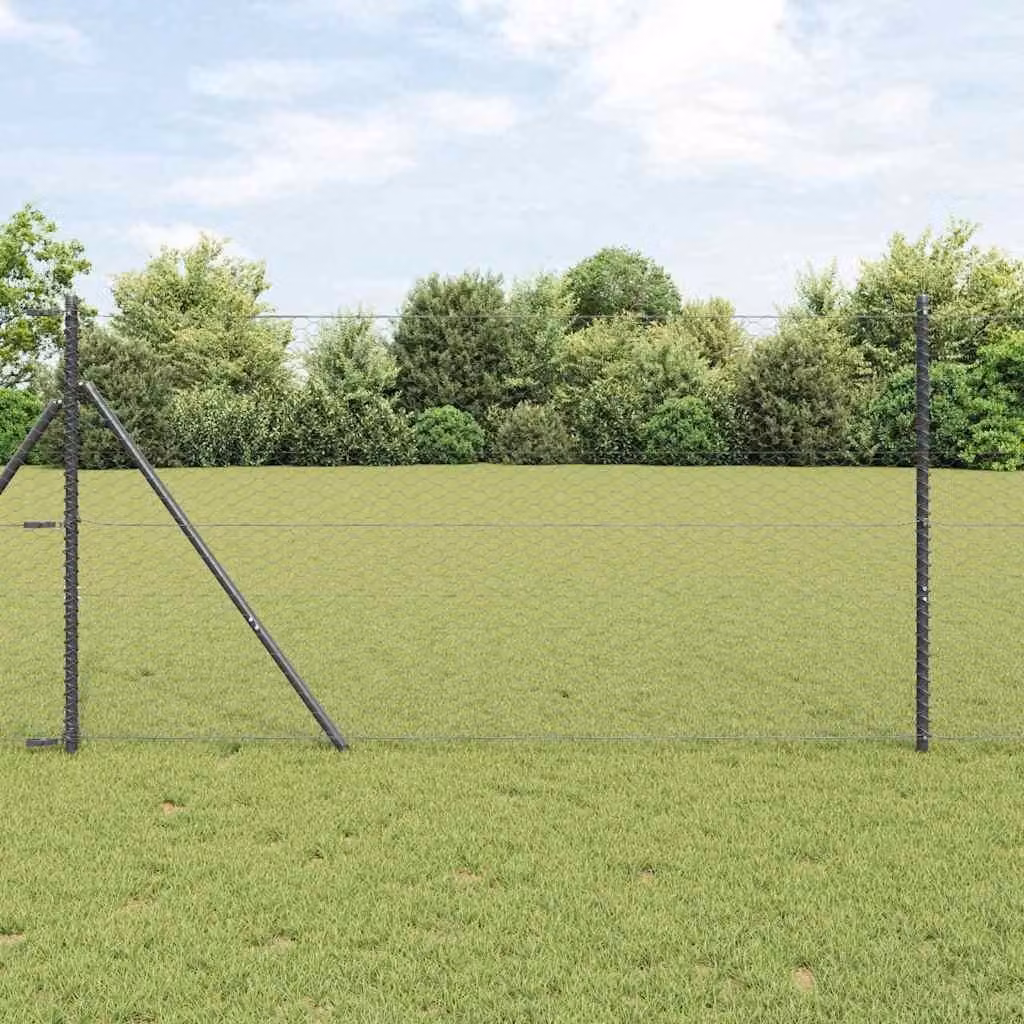 Maison Exclusive - Palo della recinzione Grigio 10 x 1 m (rete 36 mm)