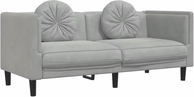 Divano | Divano da soggiorno | Sofa a 2 Posti con Cuscini Grigio Chiaro in Velluto