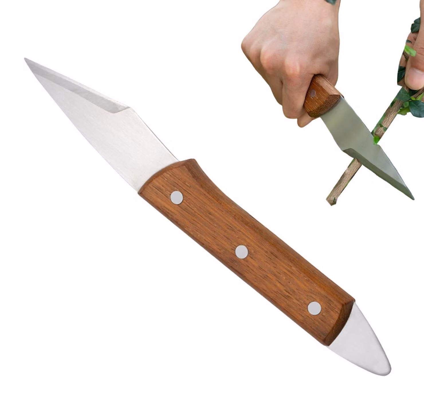 Coltello multifunzione per giardinaggio, ideale per potare e propagare