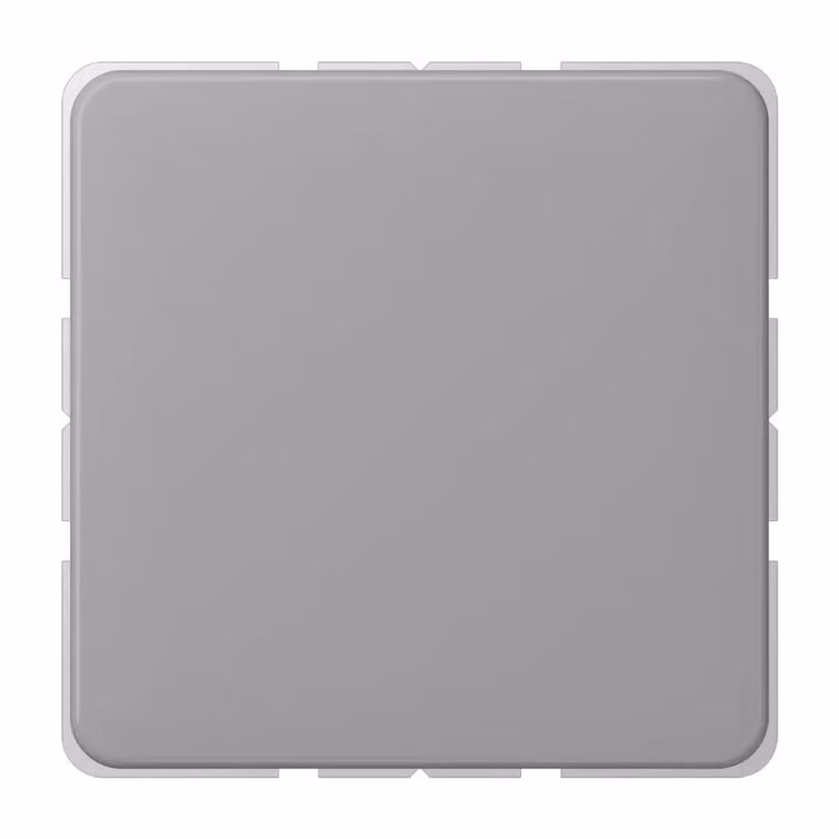 Jung CD 594-0 GR Grau (CD594-0GR)