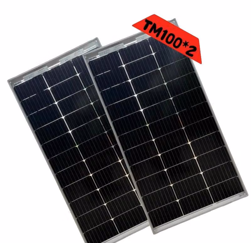 Pannello solare, tecnologia bifacciale, potenza di 100W, 2 pannelli da 100W