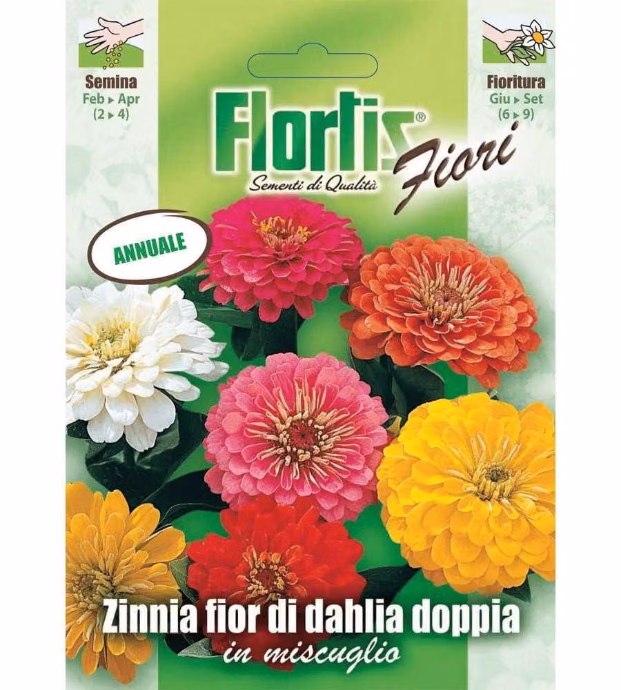 Flortis - Miscela annuale fiori grandi di Dalia e Zinnia