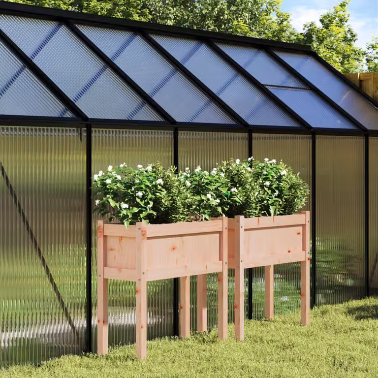 Set di 2 fioriere da giardino vidaXL in legno di Douglas marrone
