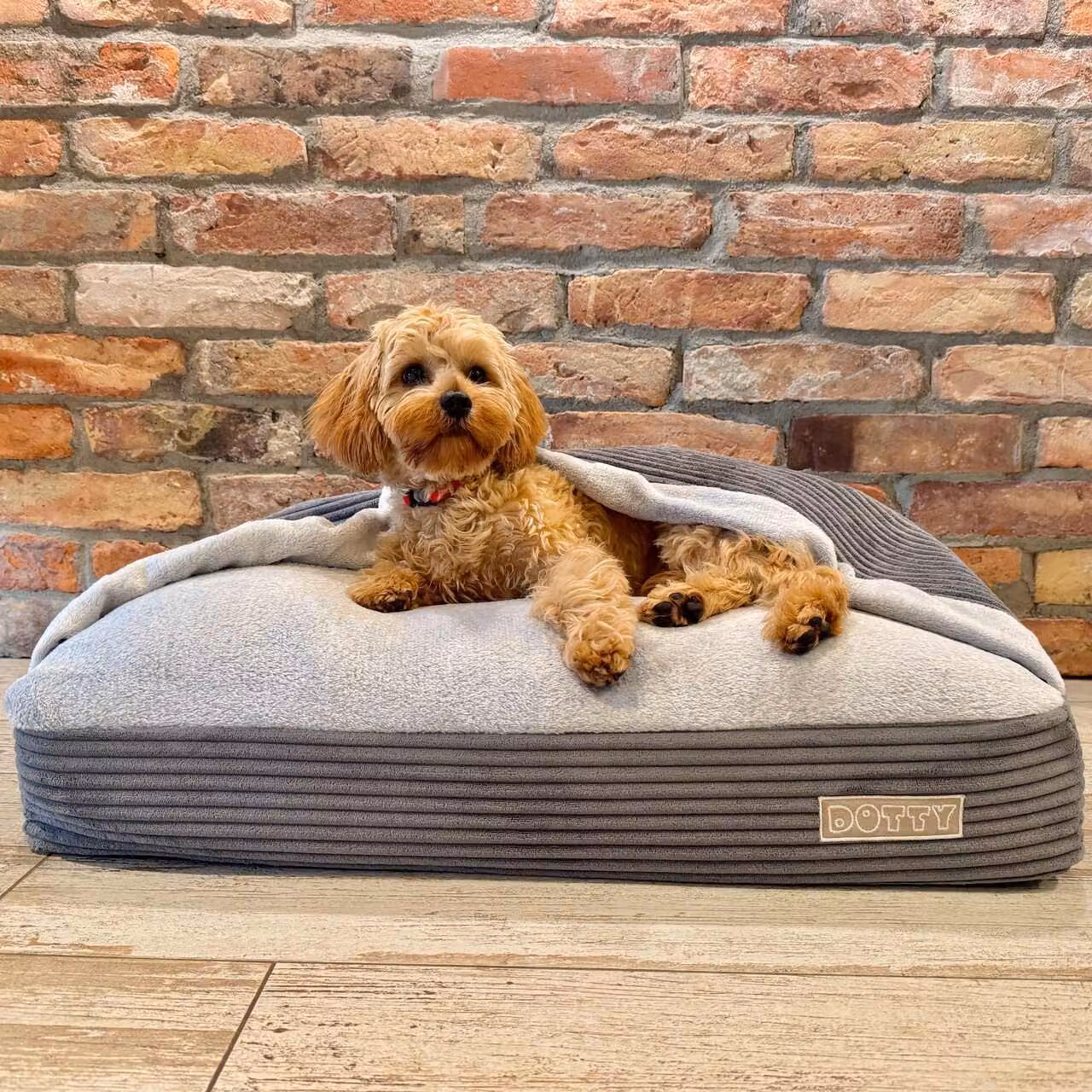 DOTTY Snuggle Cave Accogliente letto per cani Nido per gatti Sacco a pelo per cani - Tessuto a coste grigio grafite - Misura M (70 x 55 cm)