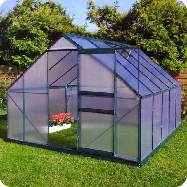 Serra Ezooza Silke in policarbonato alveolare da 4 mm con fondamenta, finestre e grondaia, trasparente e verde, L: 250 cm, P: 310 cm, H: 205 cm