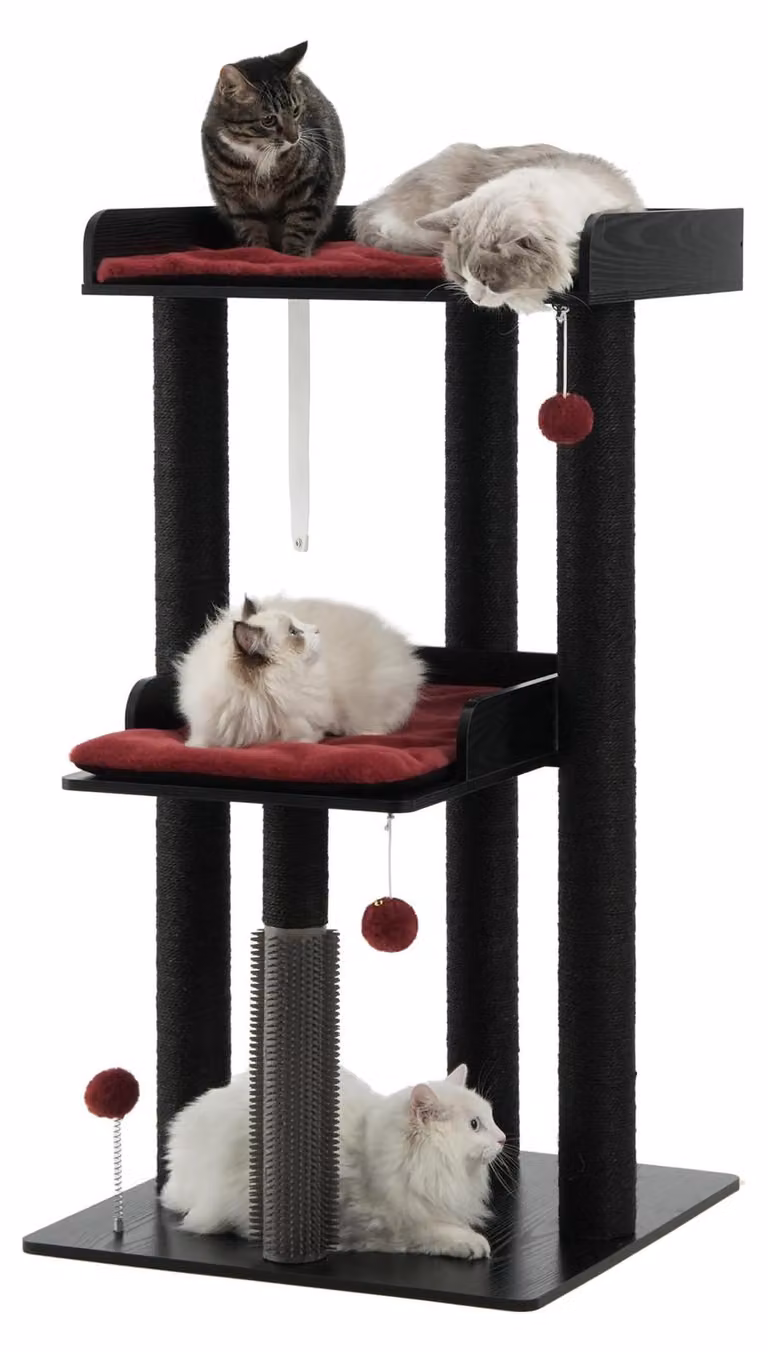 SolidKeus - Albero per gatti alto 184 cm, con dettagli verdi e neri