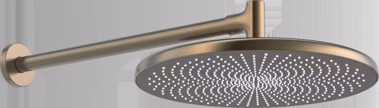 Douche de tête HANSA HANSAAURELIA, diamètre 300mm, 1 jet, montage mural, 4726030081, 4726030081